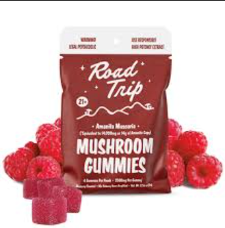Alice Mushroom Gummy uk